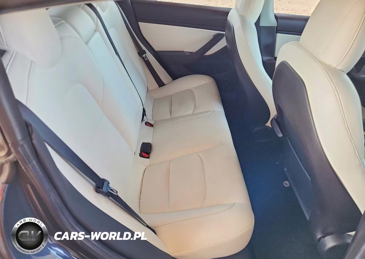 2020 Tesla Model 3 VIN:5YJ3E1EC9LF742815 - 10