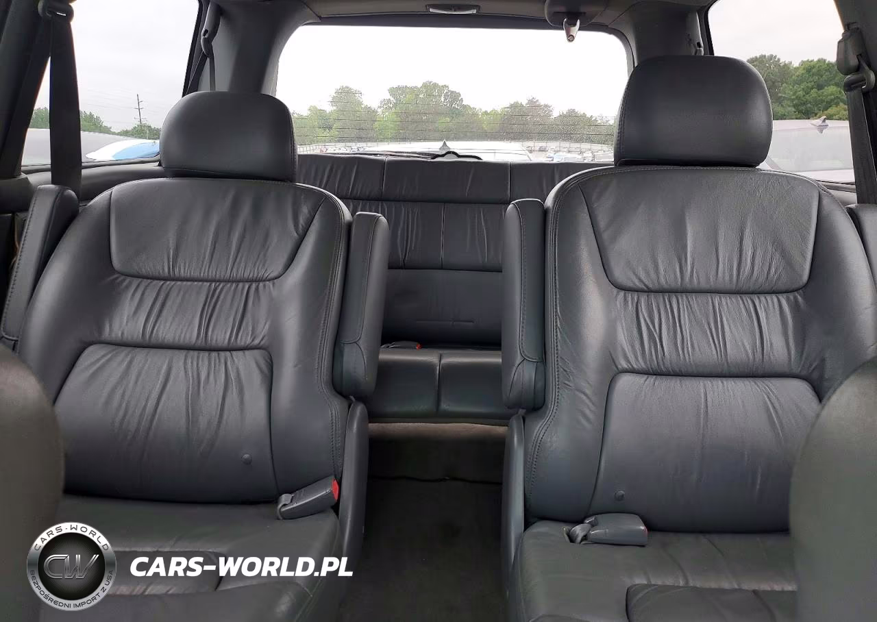 2004 Honda Odyssey Exl VIN:5FNRL18914B074297 - 10