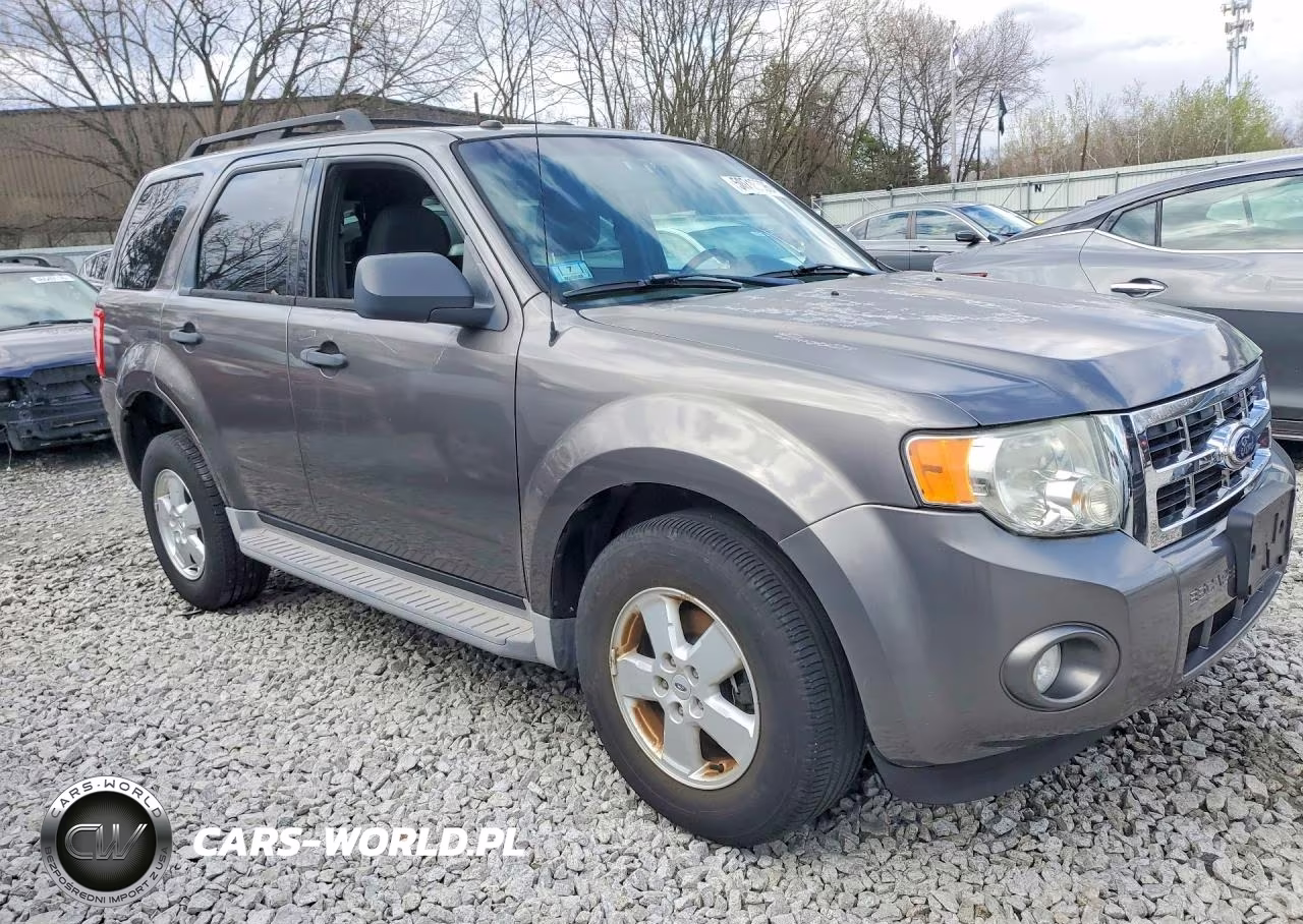 2010 Ford Escape Xlt VIN:1FMCU9DG8AKB61680 - 4