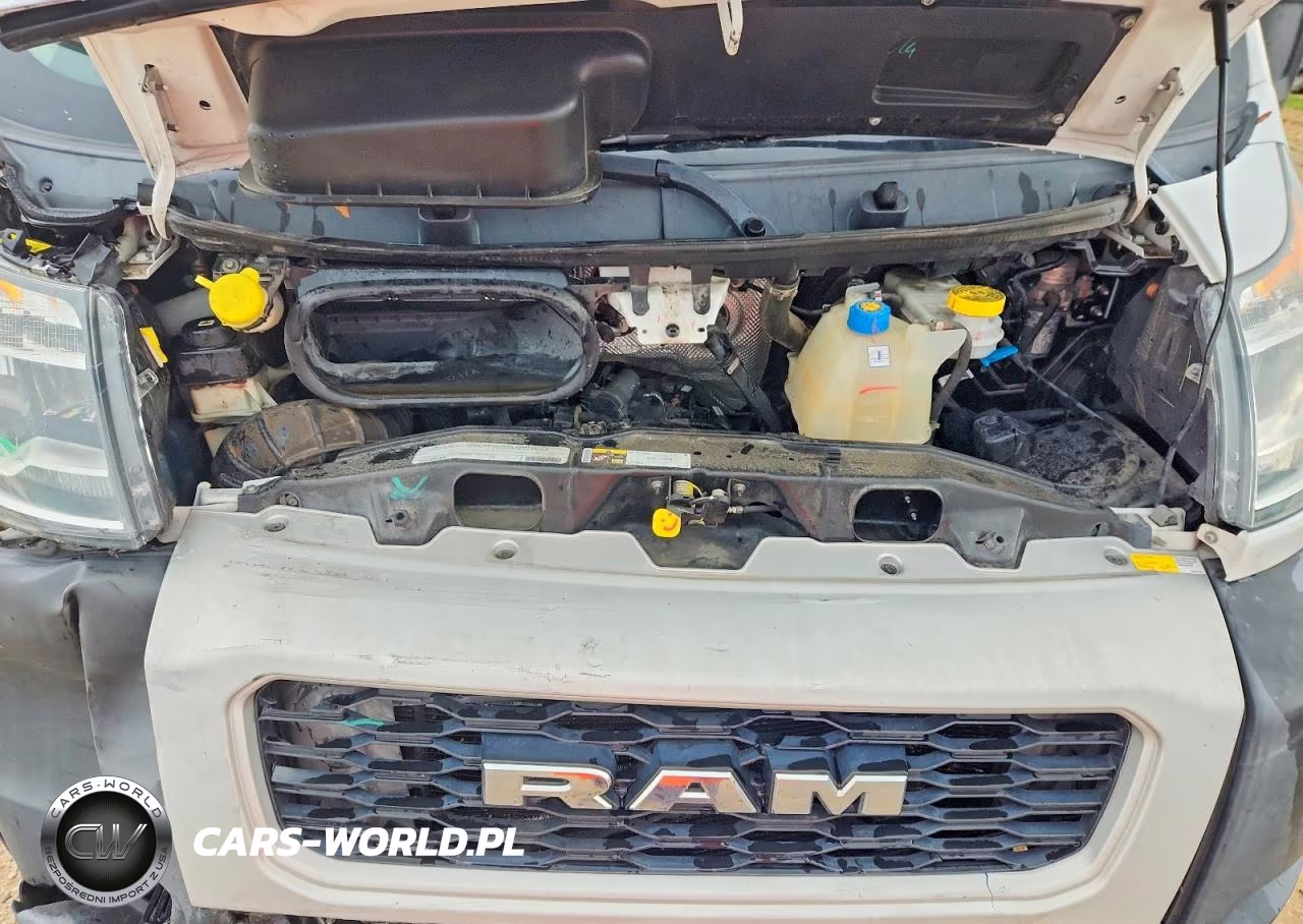 2020 Ram Promaster 2500 Delivery Van VIN:3C6TRVCGXLE131092 - 12