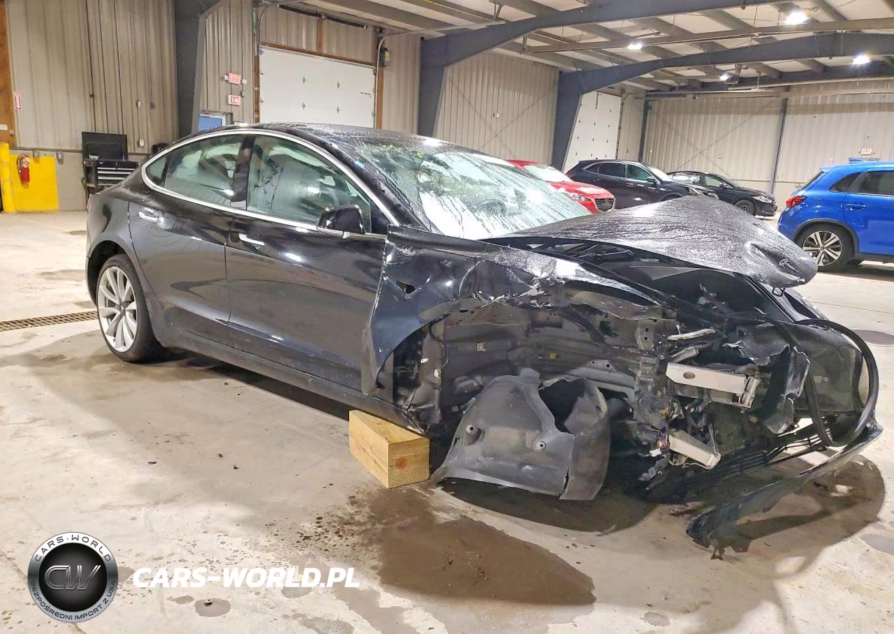 2020 Tesla Model 3 VIN:5YJ3E1EA8LF785542 - 4