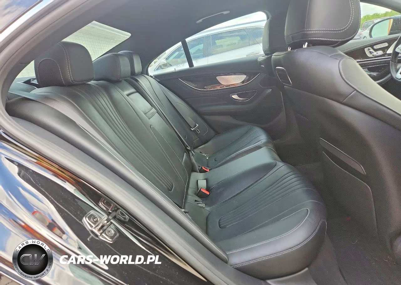 2019 Mercedes-Benz Cls 450 4Matic VIN:WDD2J5KB5KA027344 - 10