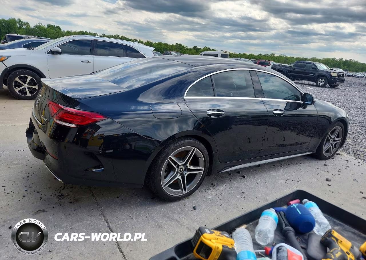 2019 Mercedes-Benz Cls 450 4Matic VIN:WDD2J5KB5KA027344 - 3