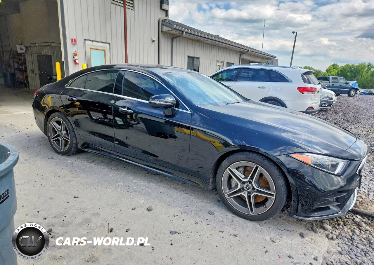 2019 Mercedes-Benz Cls 450 4Matic VIN:WDD2J5KB5KA027344 - 4