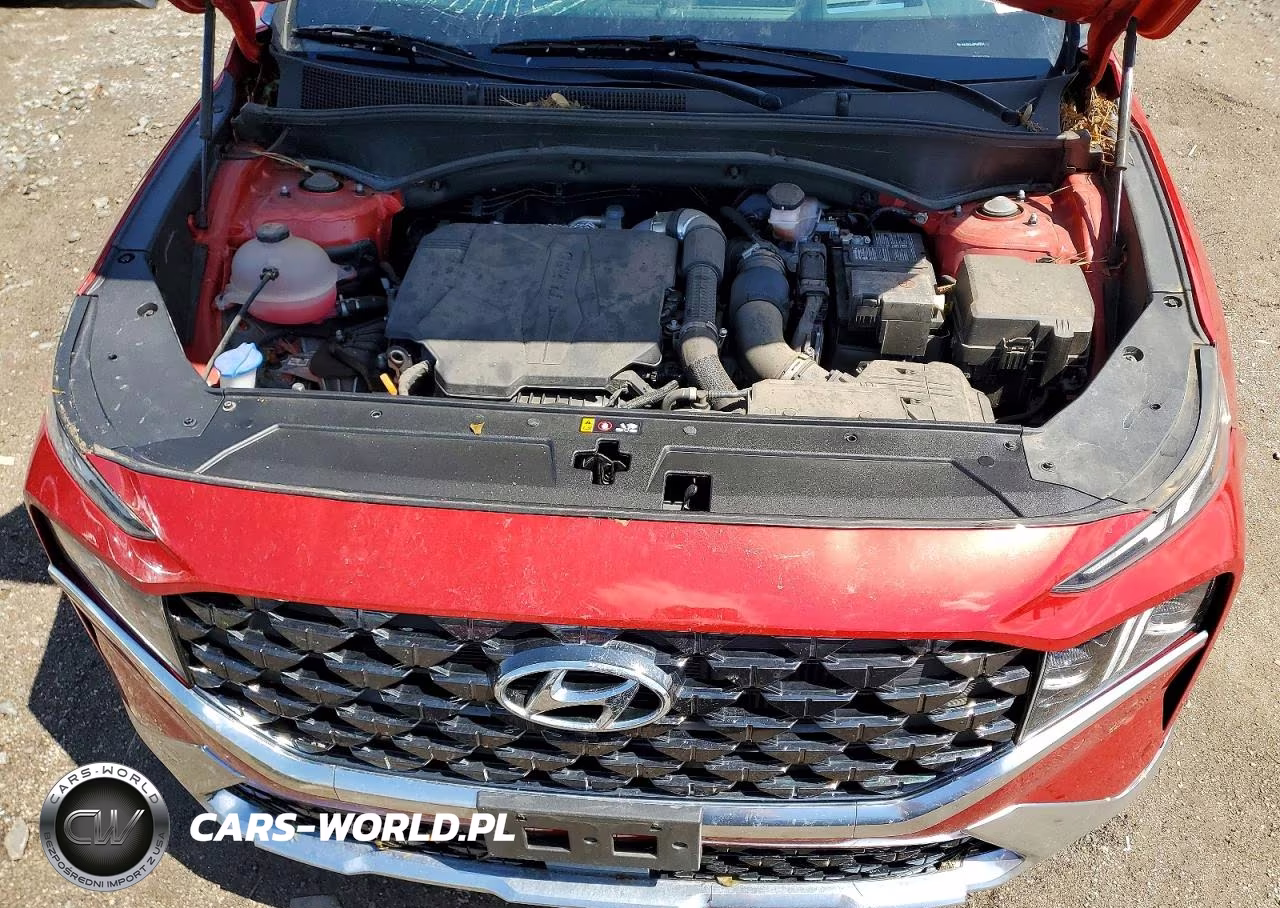 2023 Hyundai Santa Fe Calligraphy VIN:5NMS54AL8PH493334 - 12