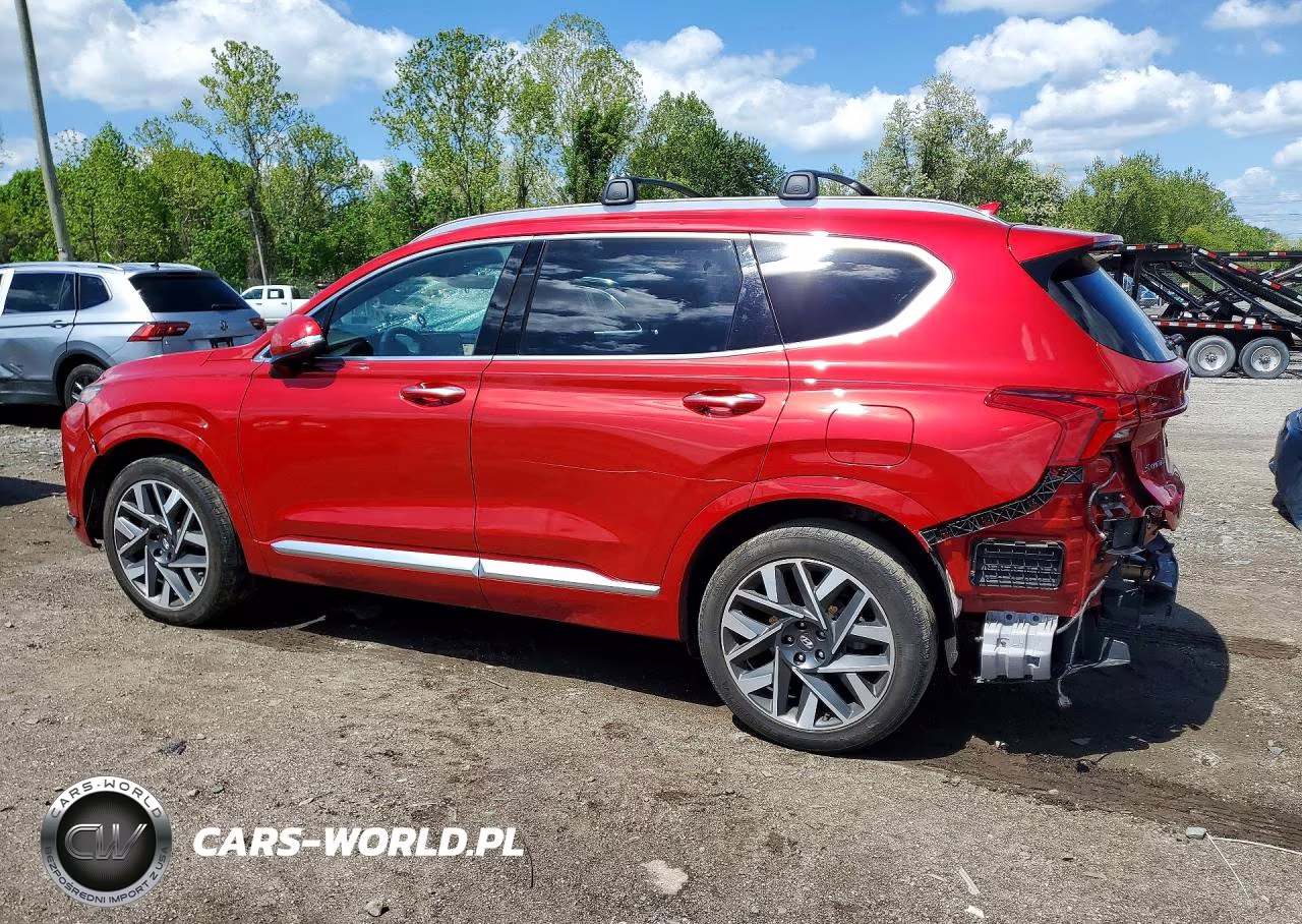 2023 Hyundai Santa Fe Calligraphy VIN:5NMS54AL8PH493334 - 2