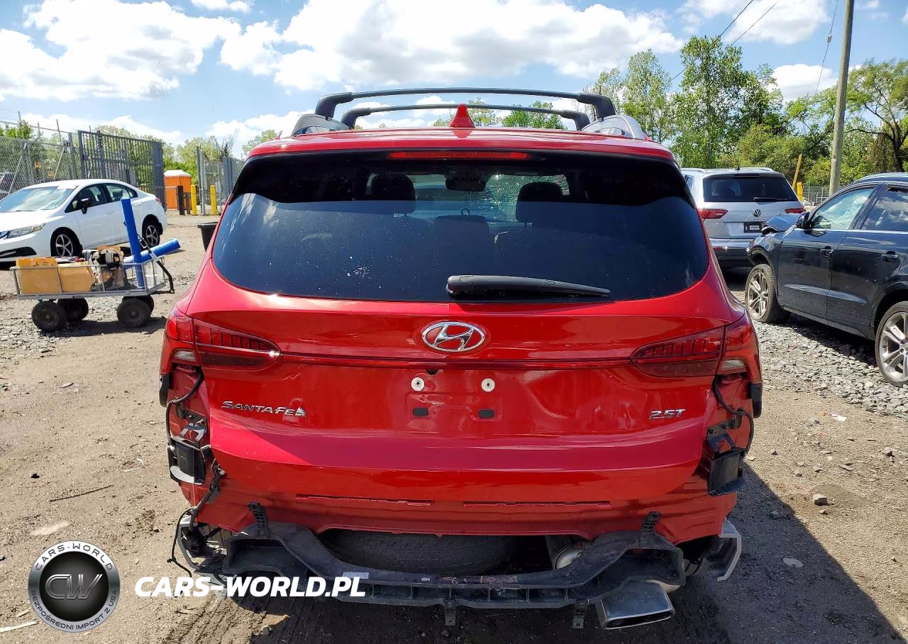 2023 Hyundai Santa Fe Calligraphy VIN:5NMS54AL8PH493334 - 6