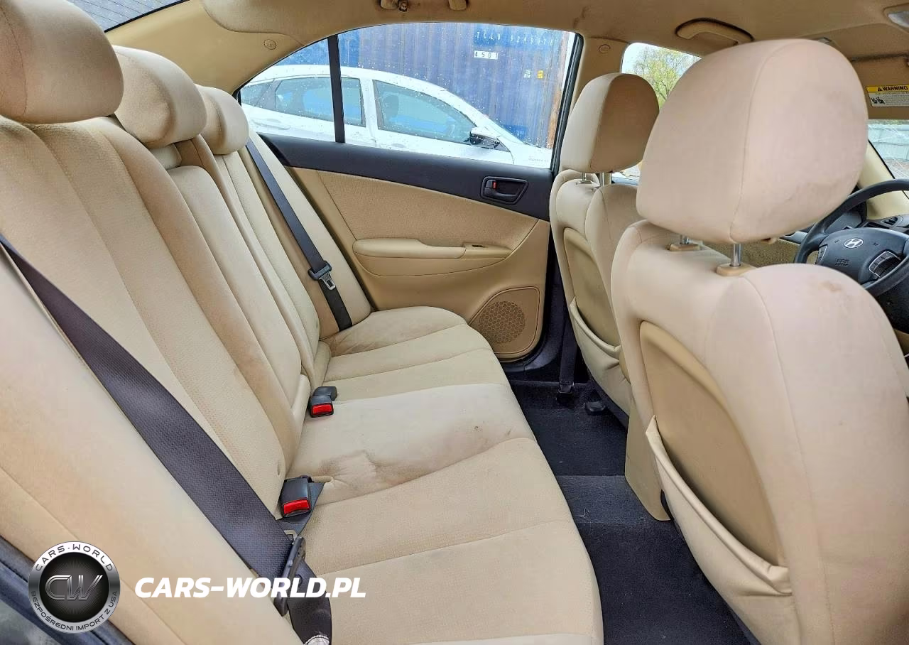 2010 Hyundai Sonata Gls VIN:5NPET4AC7AH646007 - 10