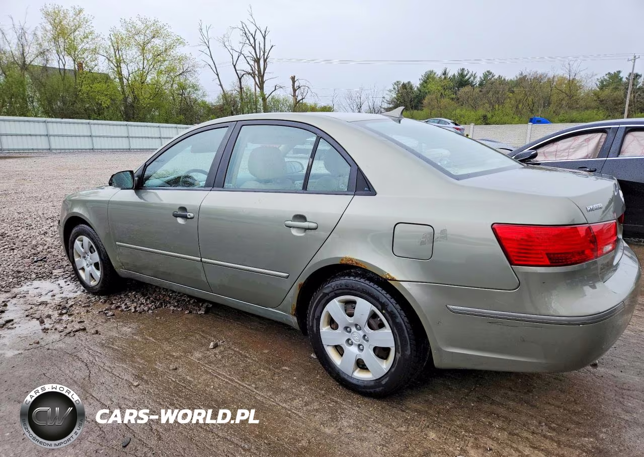 2010 Hyundai Sonata Gls VIN:5NPET4AC7AH646007 - 2