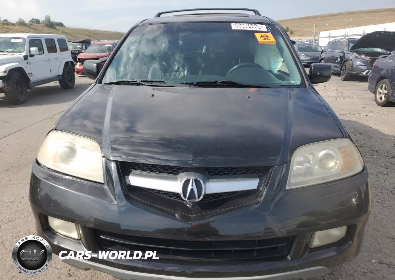 2004 Acura Mdx Touring VIN:2HNYD18654H556175 - 5