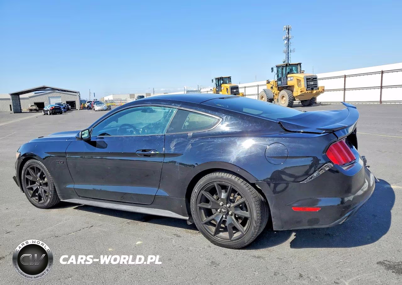 2017 Ford Mustang Gt VIN:1FA6P8CF9H5331037 - 2