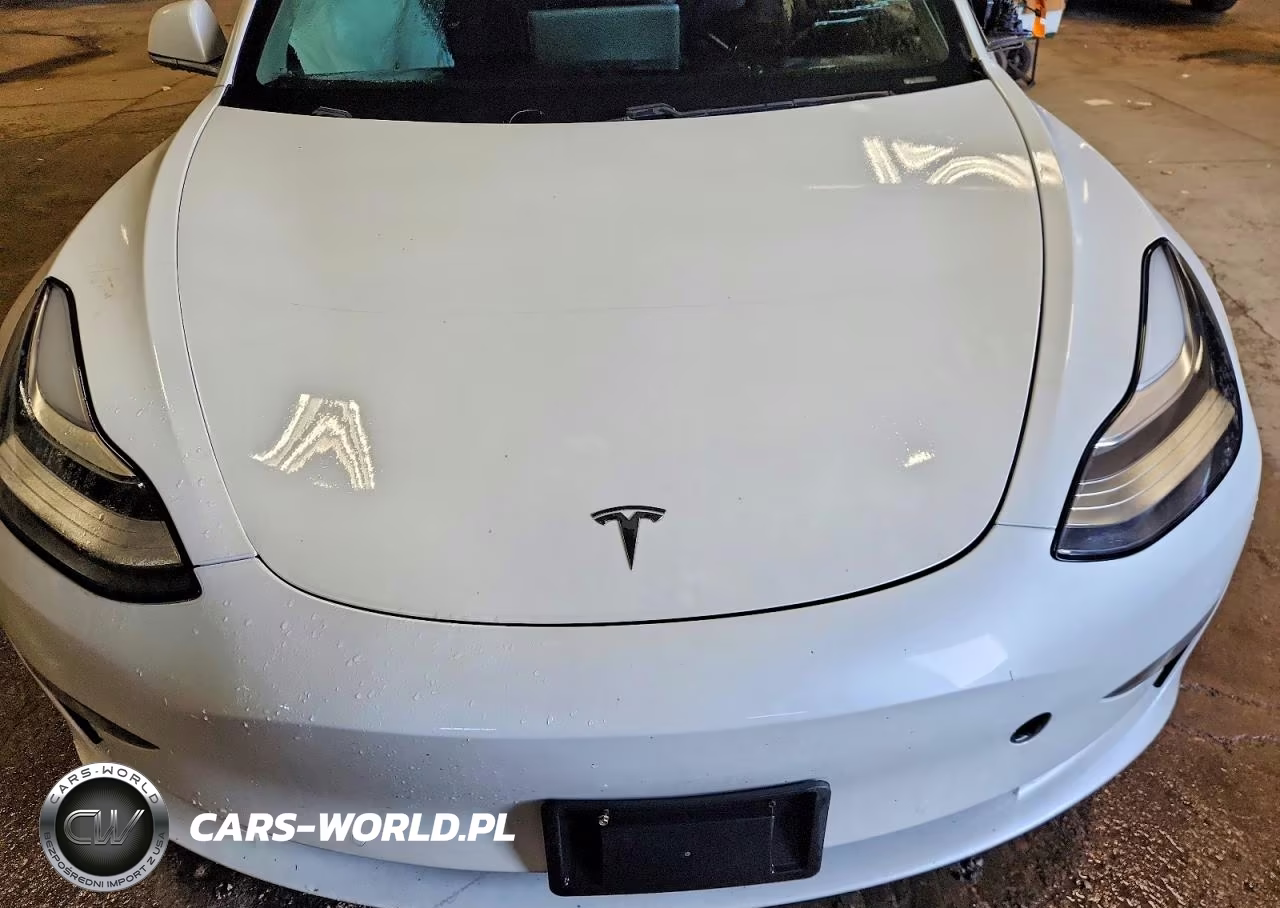 2020 Tesla Model 3 VIN:5YJ3E1EA5LF660286 - 11