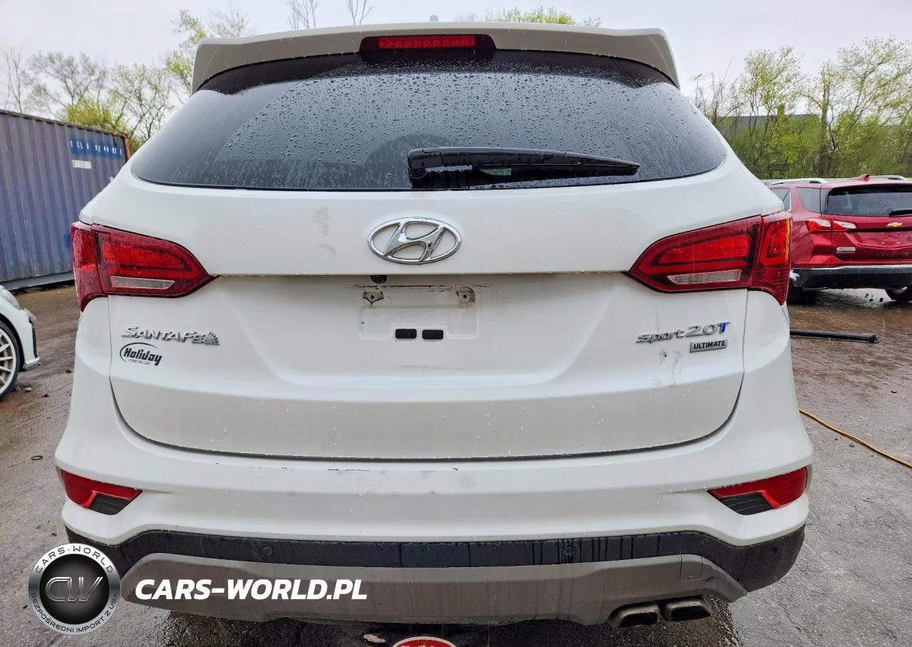 2017 Hyundai Santa Fe Sport 2.0T Ultimate VIN:5XYZW4LA8HG394323 - 6