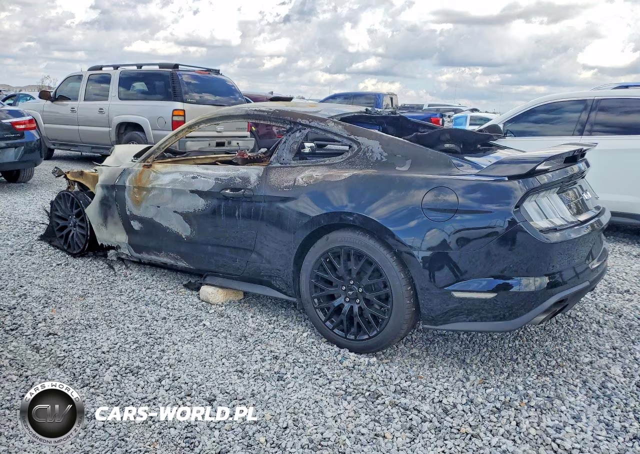 2019 Ford Mustang Gt VIN:1FA6P8CF9K5194950 - 2