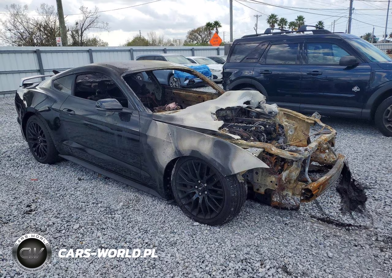 2019 Ford Mustang Gt VIN:1FA6P8CF9K5194950 - 4