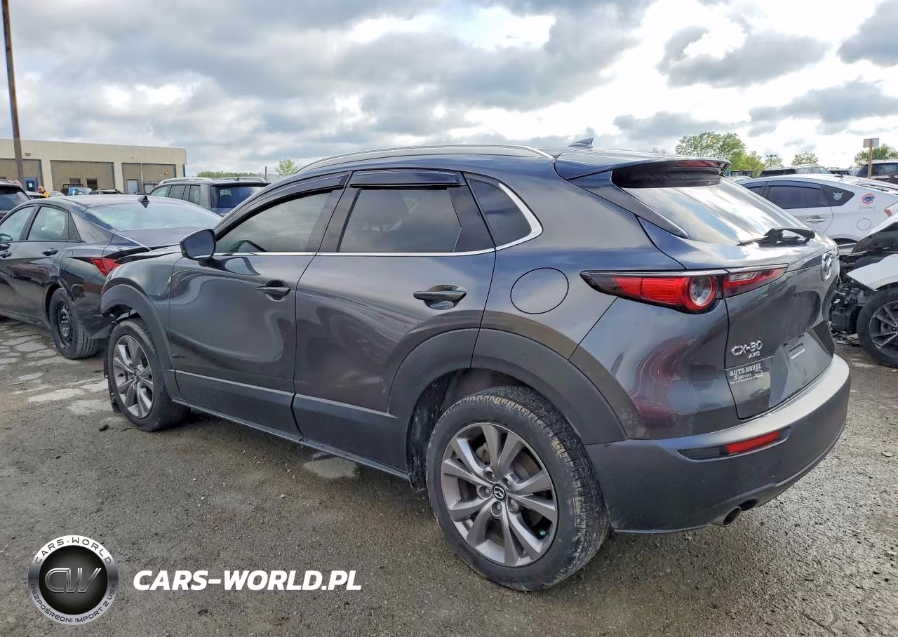 2021 Mazda Cx-30 Premium VIN:3MVDMBDL7MM210067 - 2