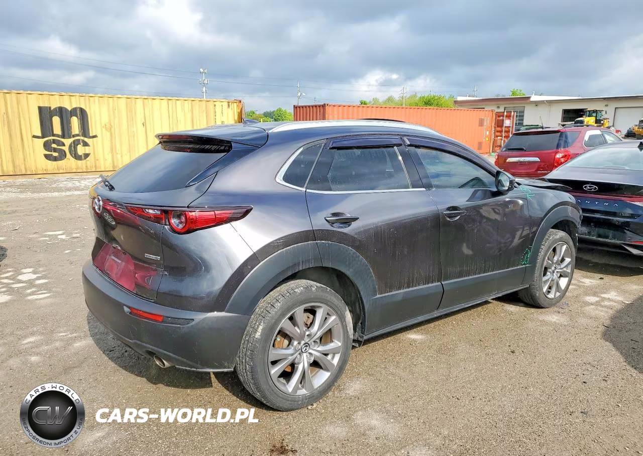 2021 Mazda Cx-30 Premium VIN:3MVDMBDL7MM210067 - 3