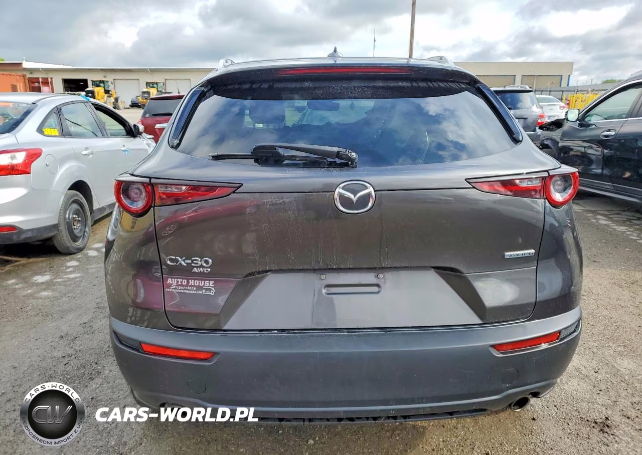 2021 Mazda Cx-30 Premium VIN:3MVDMBDL7MM210067 - 6