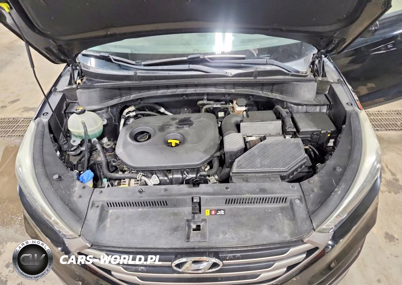 2016 Hyundai Tucson Se VIN:KM8J3CA48GU101302 - 12
