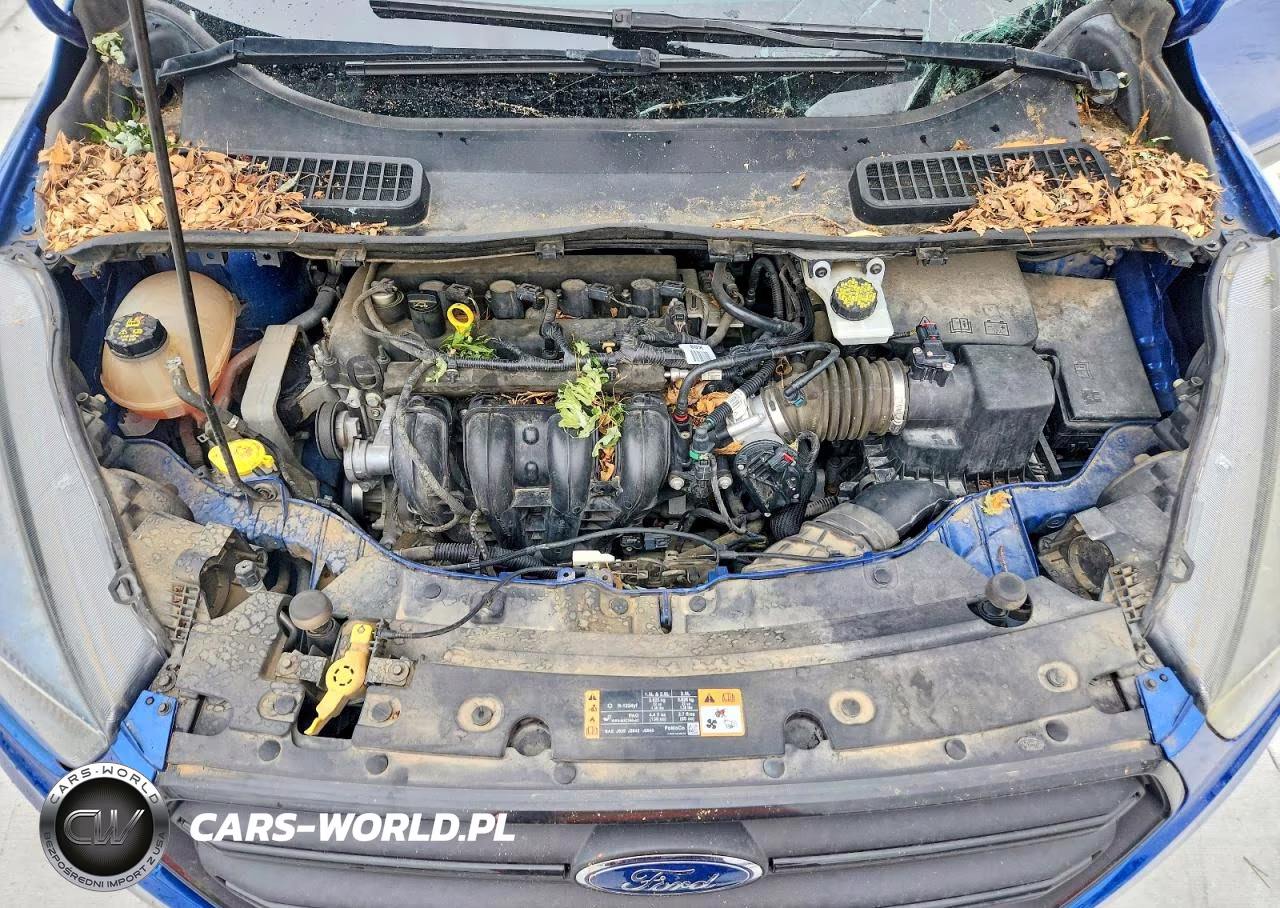 2019 Ford Escape S VIN:1FMCU0F71KUA05009 - 12