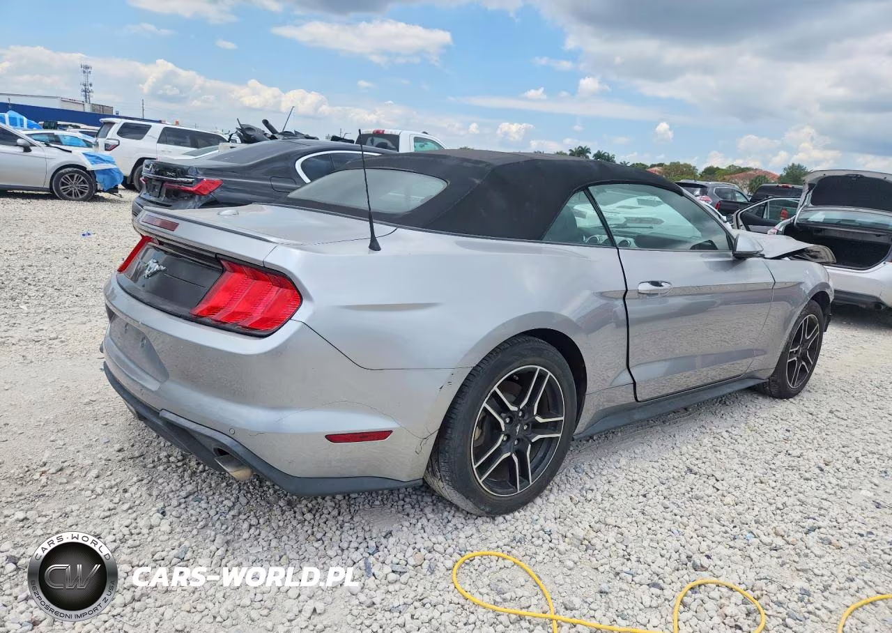 2020 Ford Mustang VIN:1FATP8UH4L5101238 - 3