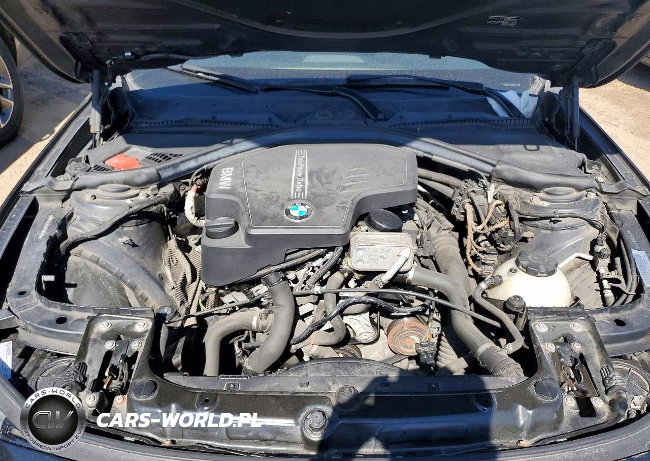 2014 BMW 320 I xDrive VIN:WBA3C3C50EF985219 - 11
