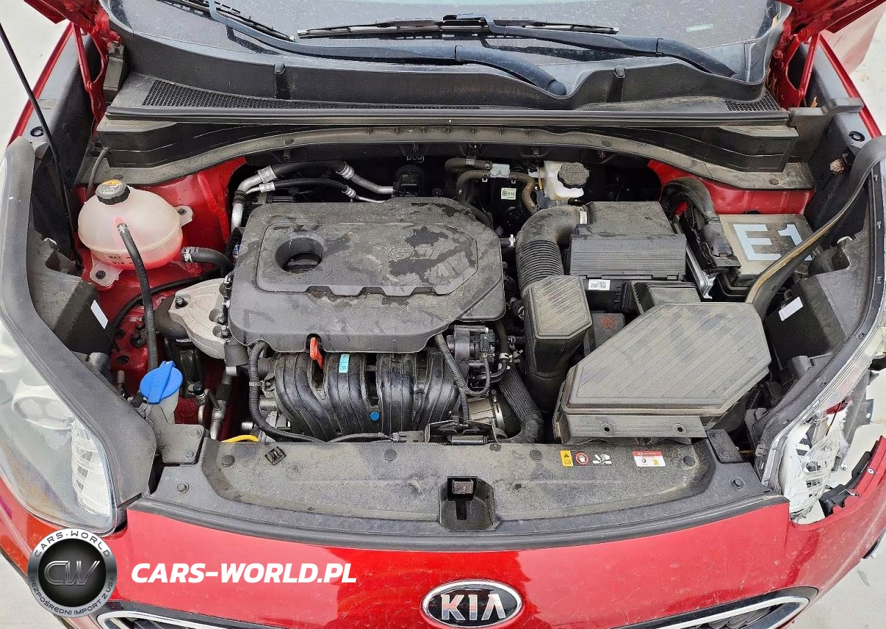 2022 Kia Sportage Lx VIN:KNDPM3AC6N7010155 - 12