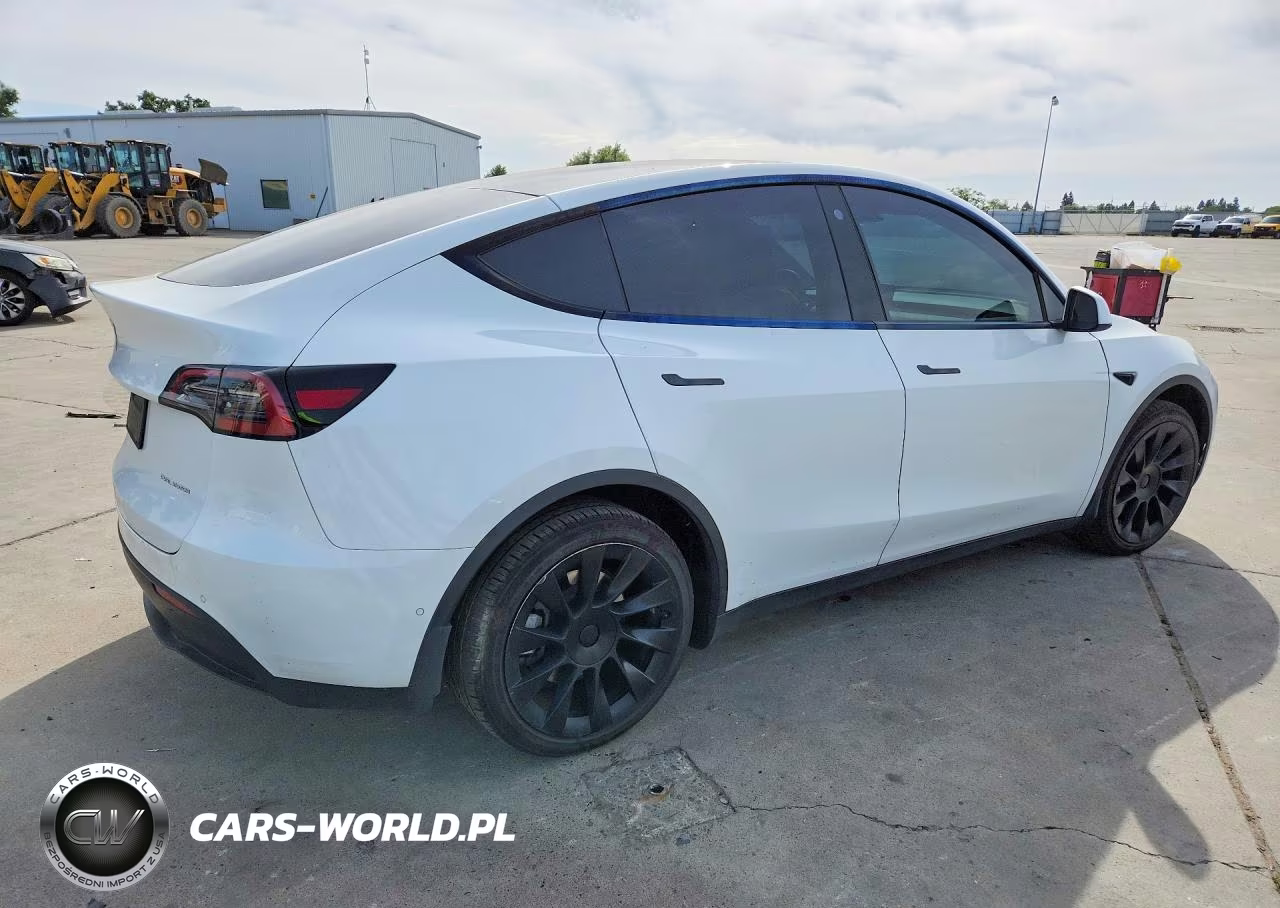 2022 Tesla Model Y VIN:7SAYGDEE6NF549367 - 3