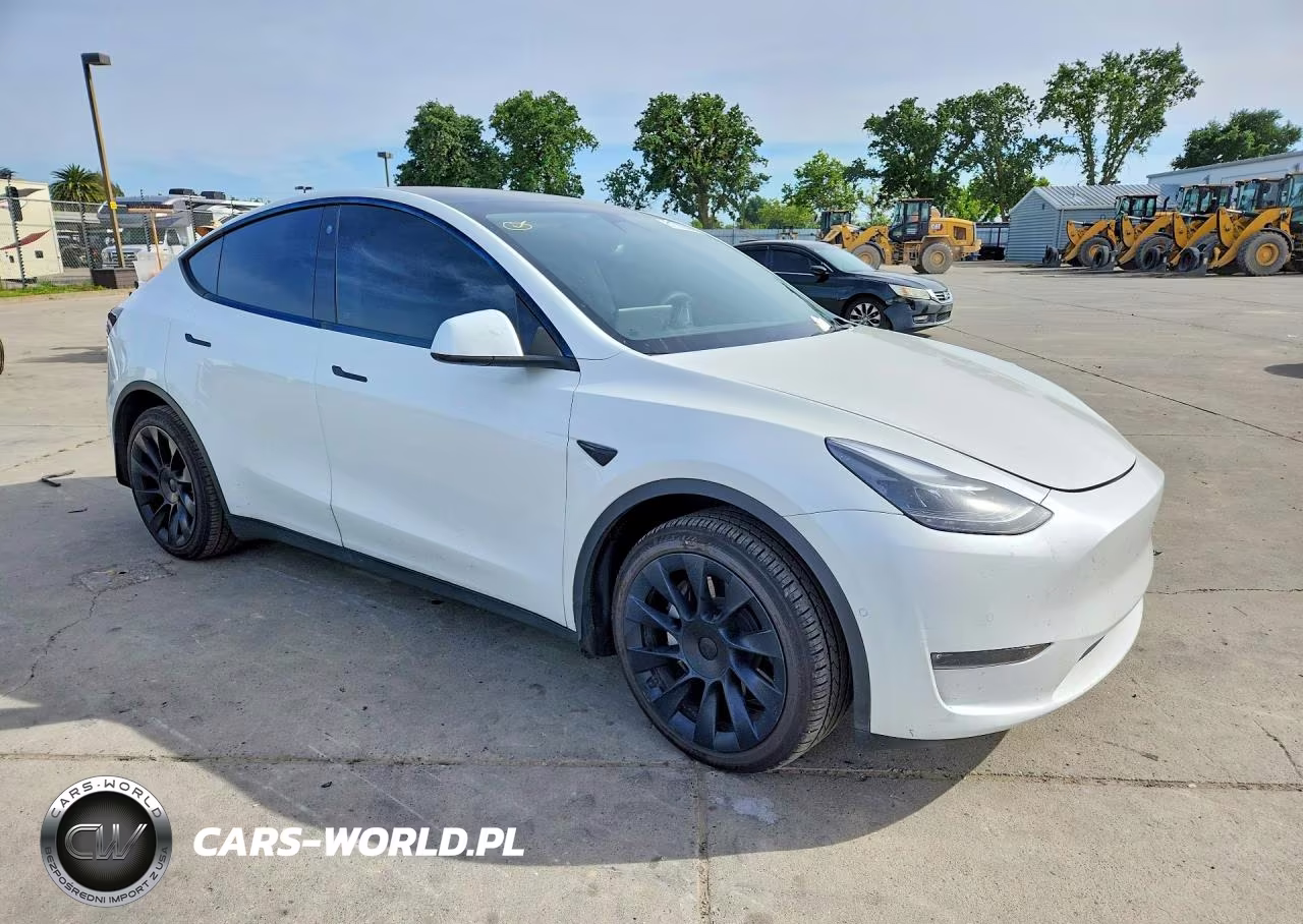 2022 Tesla Model Y VIN:7SAYGDEE6NF549367 - 4