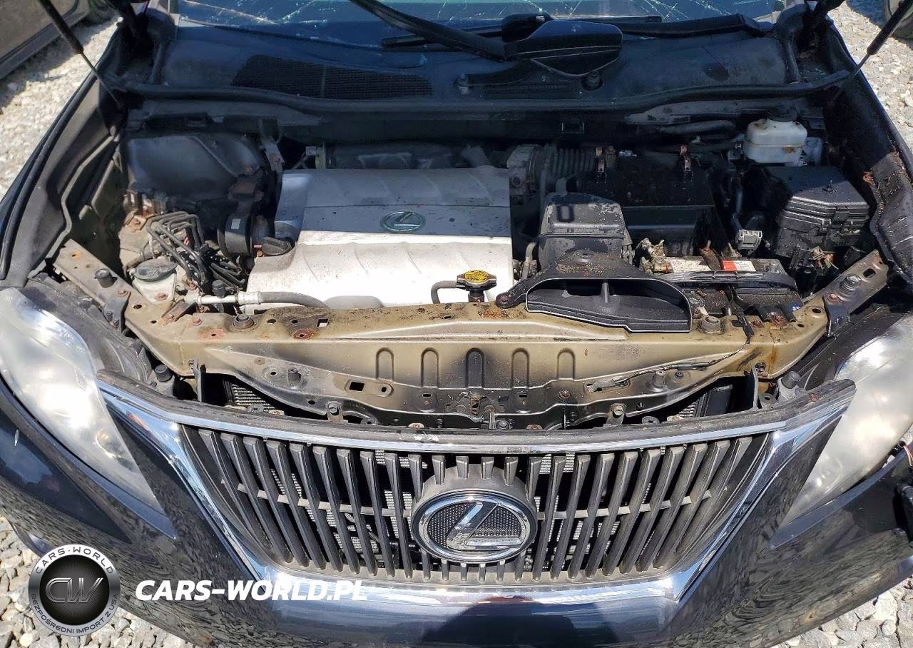 2010 Lexus Rx 350 VIN:2T2BK1BA7AC029576 - 11