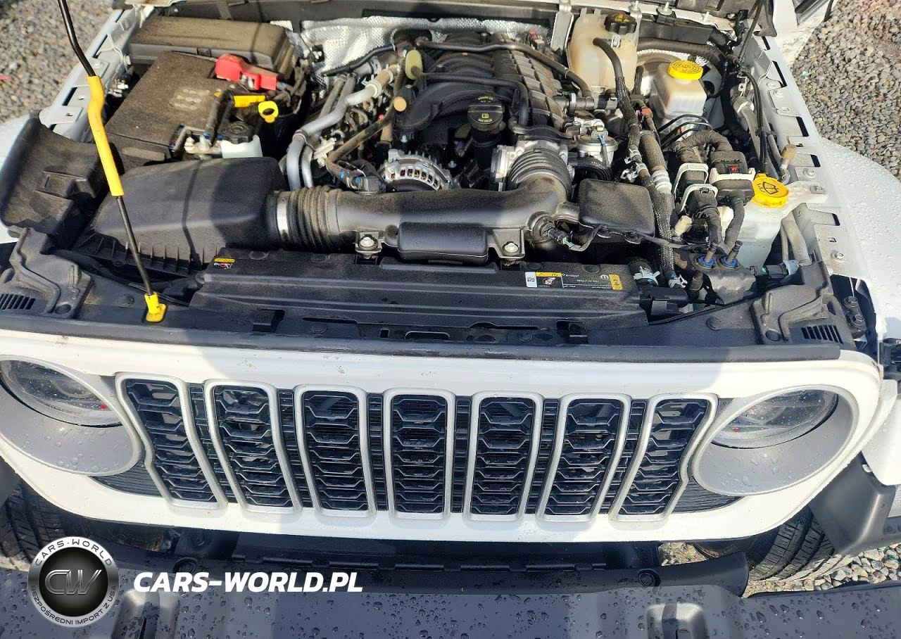 2024 Jeep Wrangler Sahara VIN:1C4PJXEG9RW314119 - 12