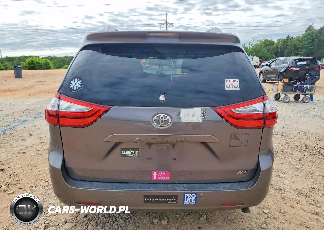 2016 Toyota Sienna Xle Premium 8-Passenger VIN:5TDYK3DC3GS713243 - 6