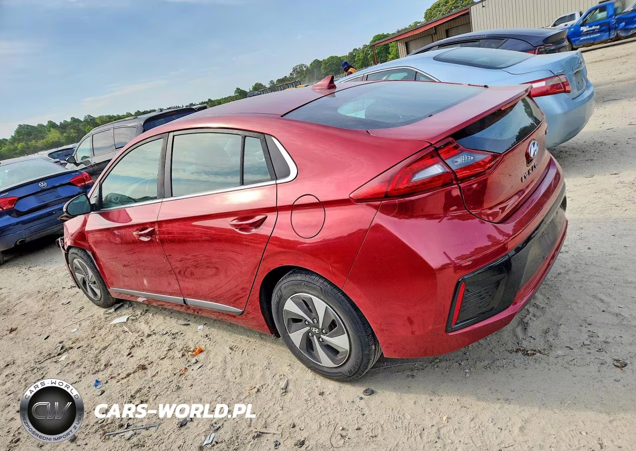 2019 Hyundai Ioniq Sel VIN:KMHC75LC4KU125070 - 2