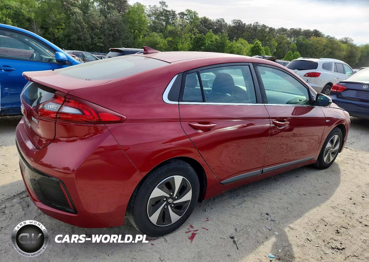 2019 Hyundai Ioniq Sel VIN:KMHC75LC4KU125070 - 3