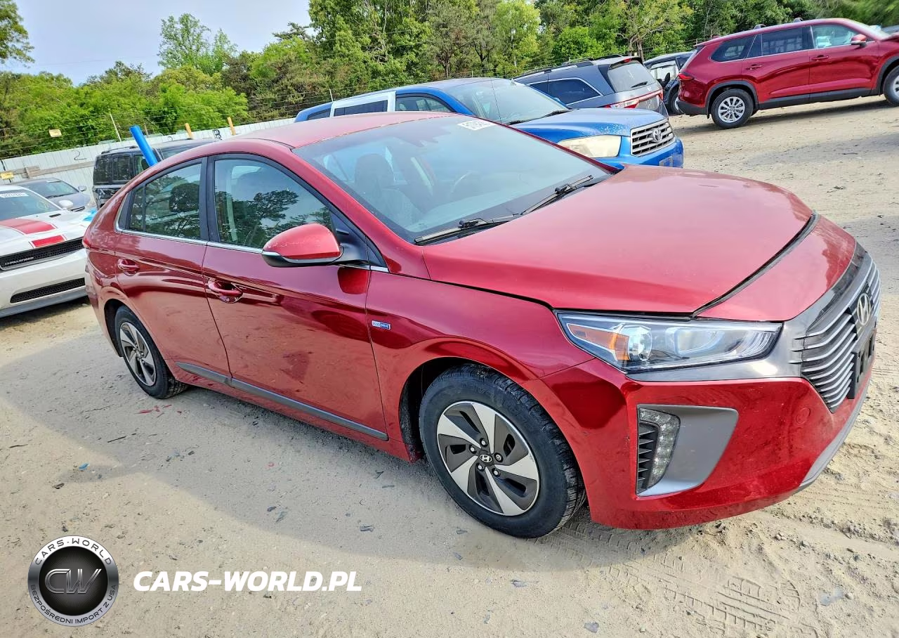 2019 Hyundai Ioniq Sel VIN:KMHC75LC4KU125070 - 4