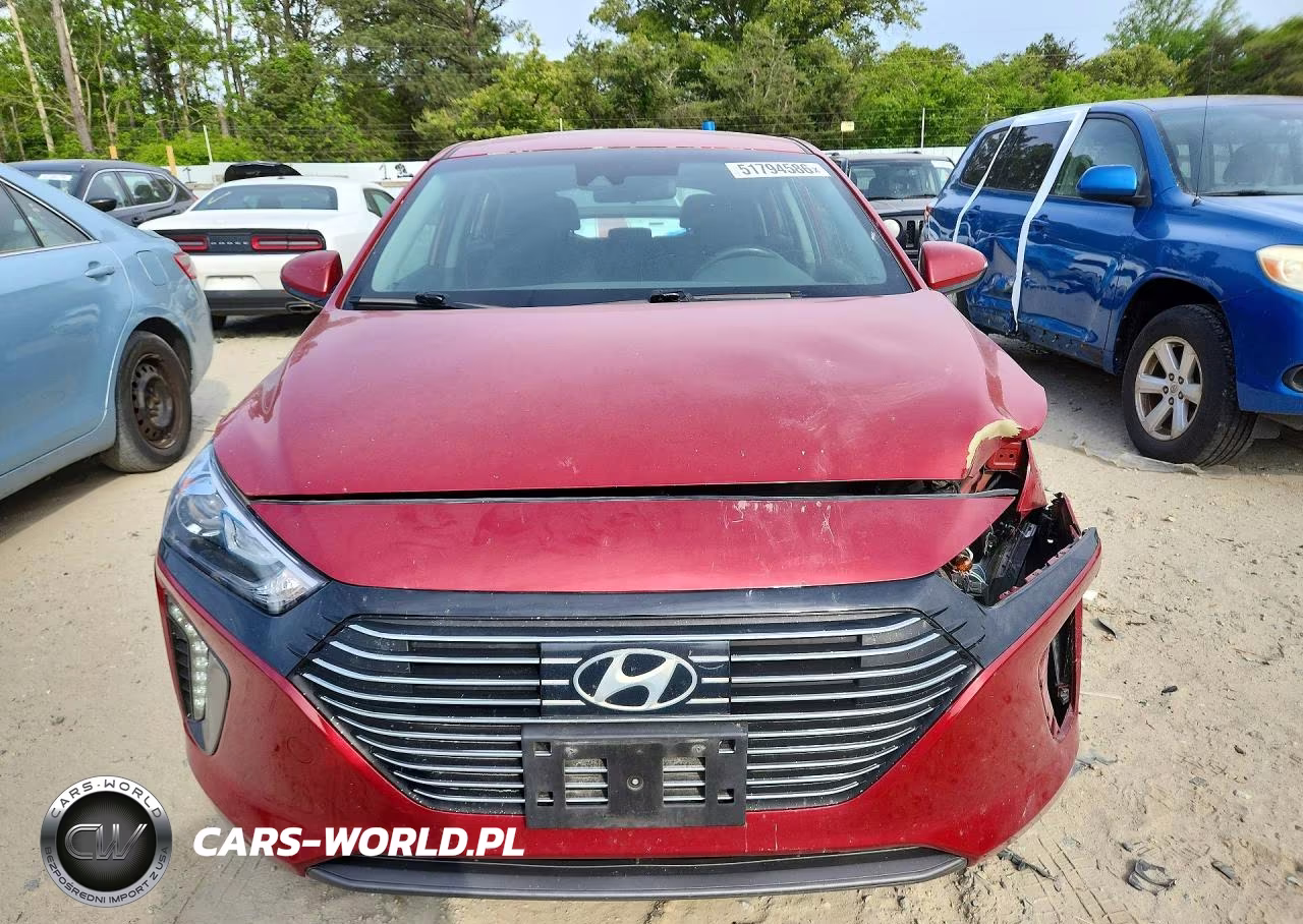 2019 Hyundai Ioniq Sel VIN:KMHC75LC4KU125070 - 5