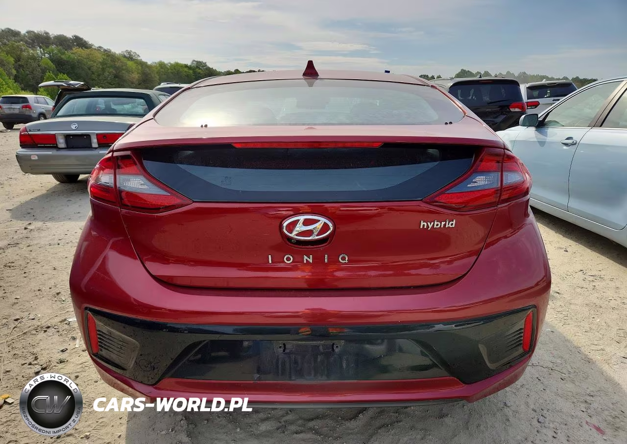 2019 Hyundai Ioniq Sel VIN:KMHC75LC4KU125070 - 6