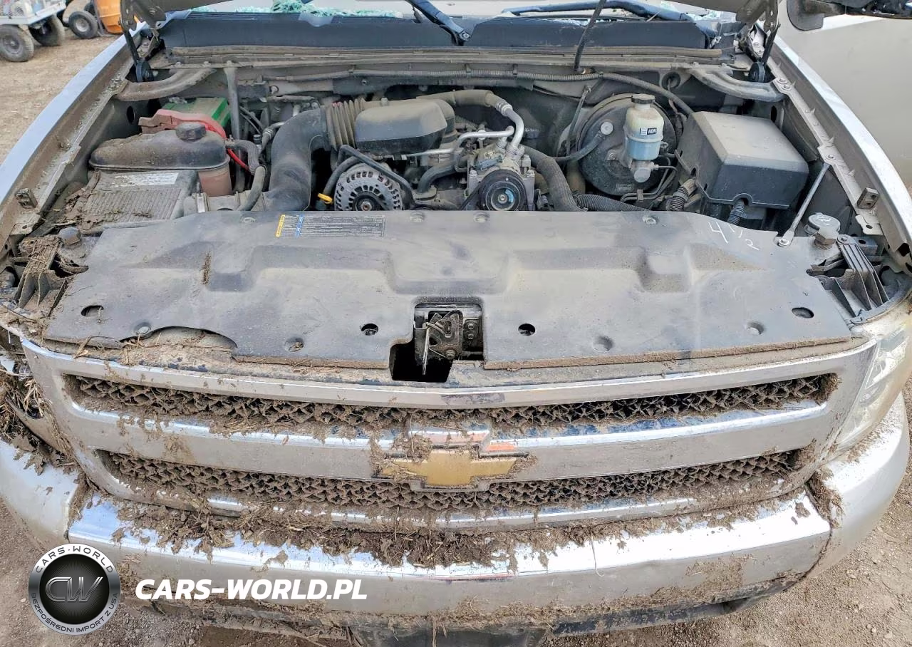 2008 Chevrolet Silverado C1500 VIN:1GCEC14XX8Z282746 - 11
