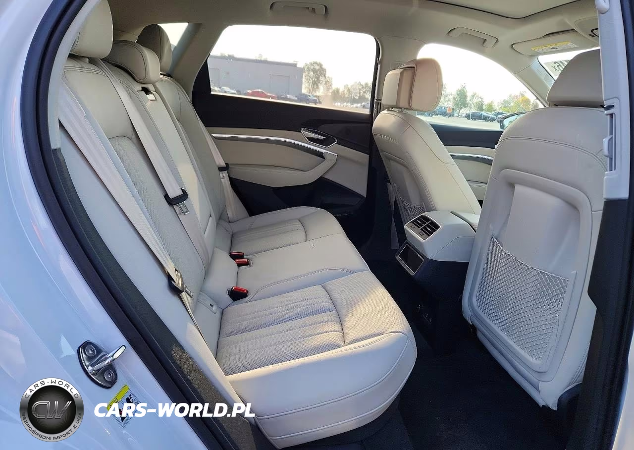 2024 Audi Q8 E-Tron Premium Plus VIN:WA15AAGE9RB048361 - 10