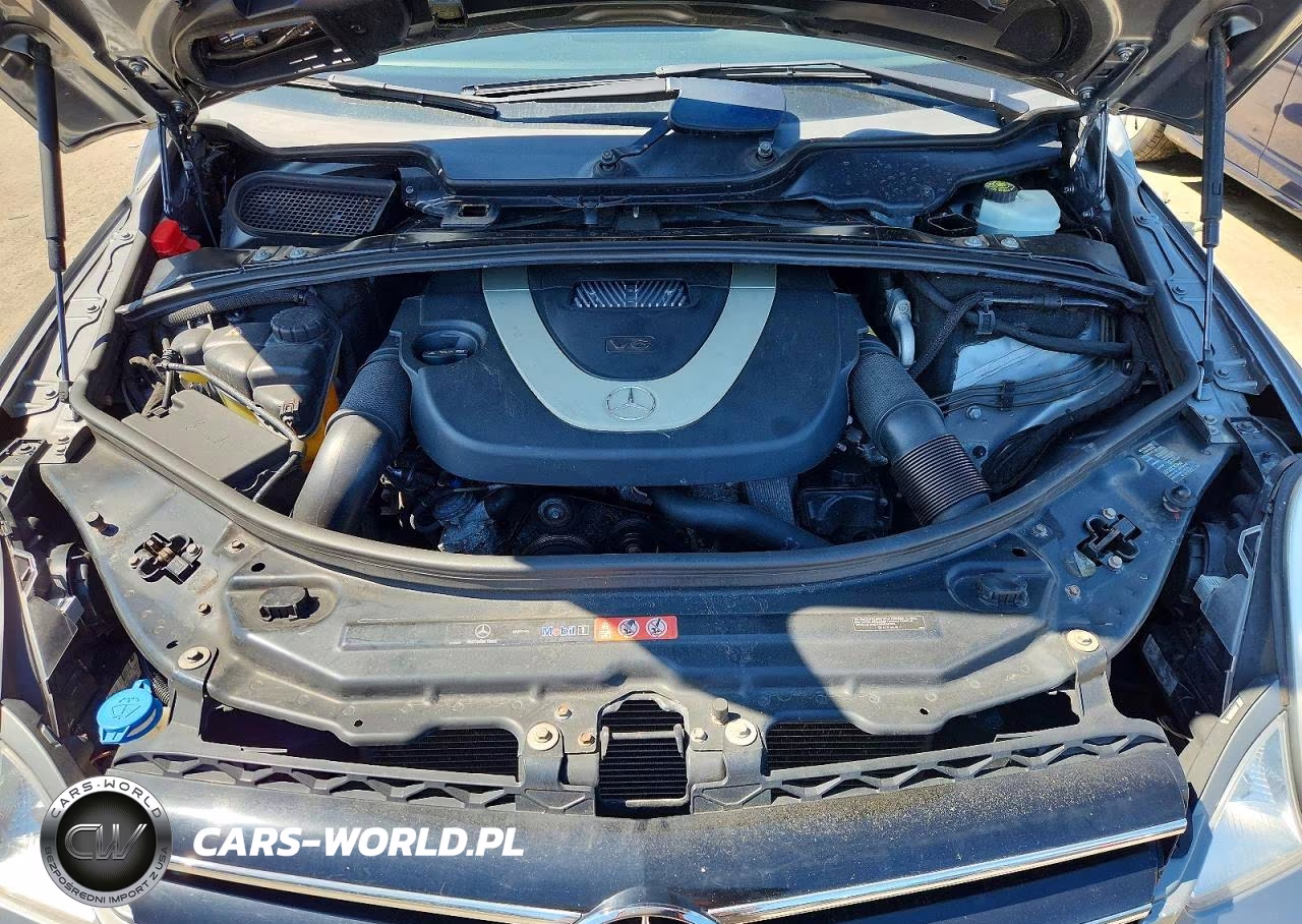 2010 Mercedes-Benz R 350 4Matic VIN:4JGCB6FE9AA107343 - 11