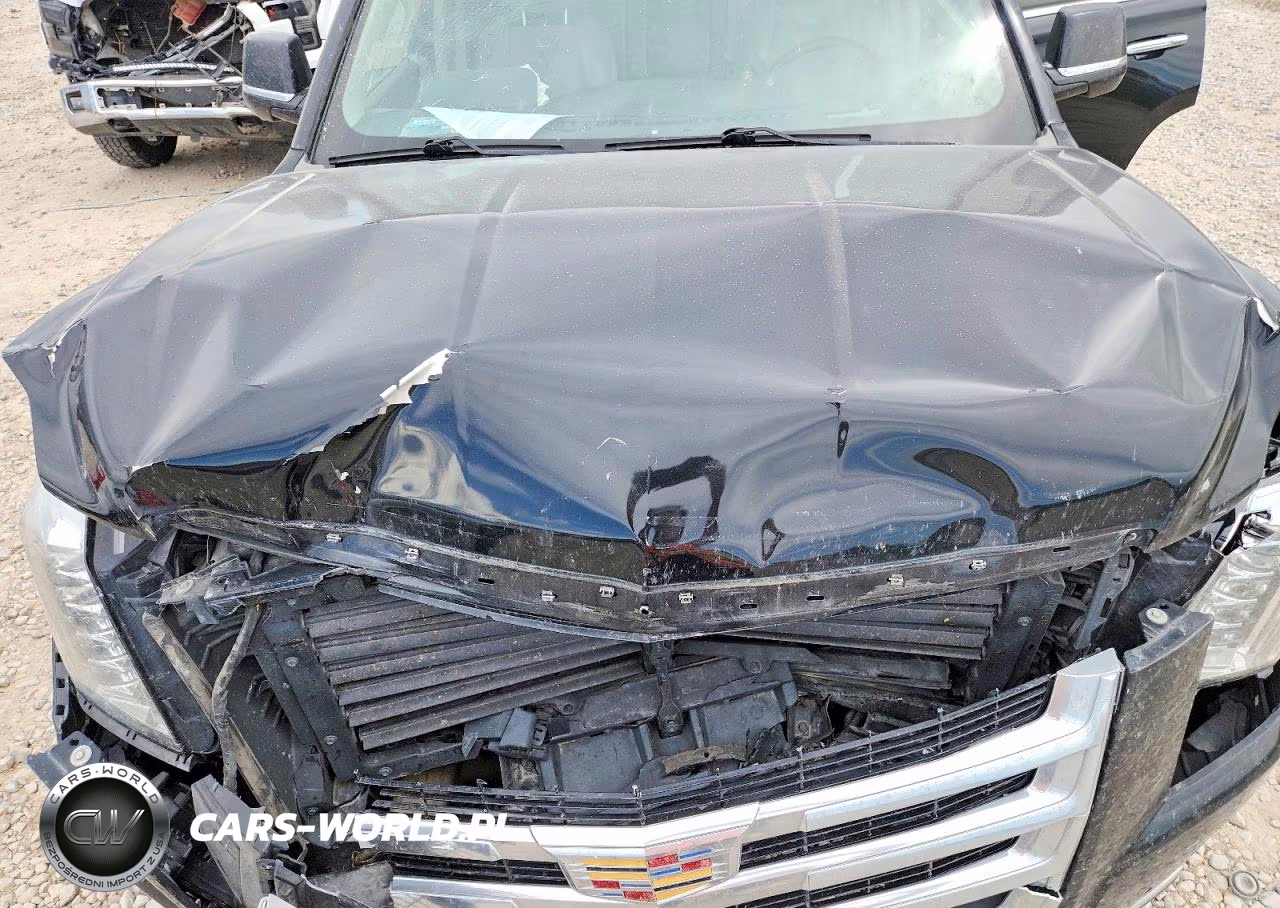 2015 Cadillac Escalade Premium VIN:1GYS4NKJ6FR630118 - 11