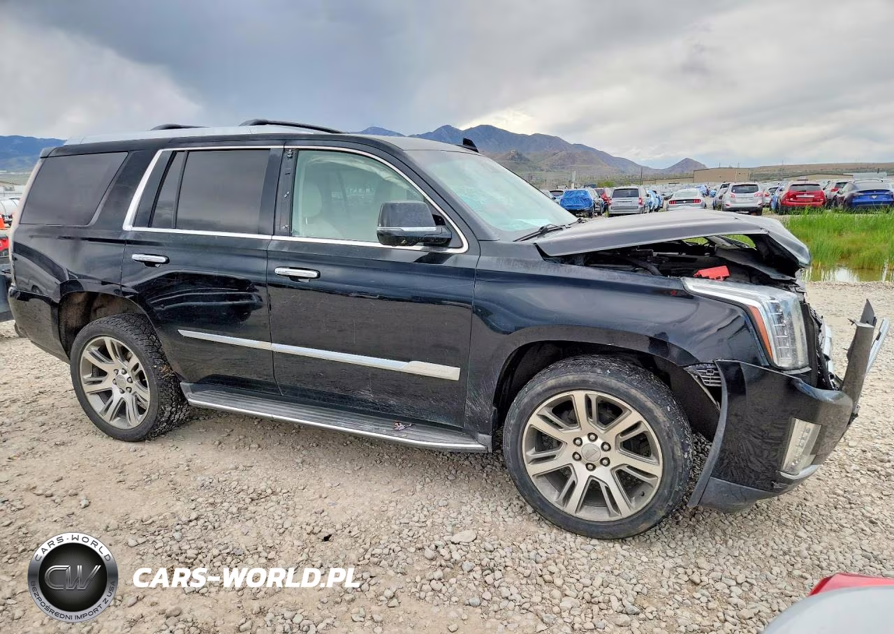 2015 Cadillac Escalade Premium VIN:1GYS4NKJ6FR630118 - 4