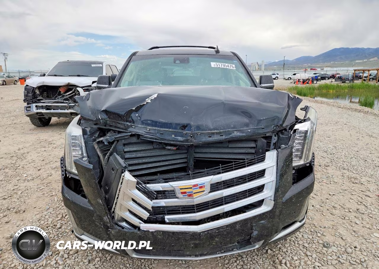 2015 Cadillac Escalade Premium VIN:1GYS4NKJ6FR630118 - 5