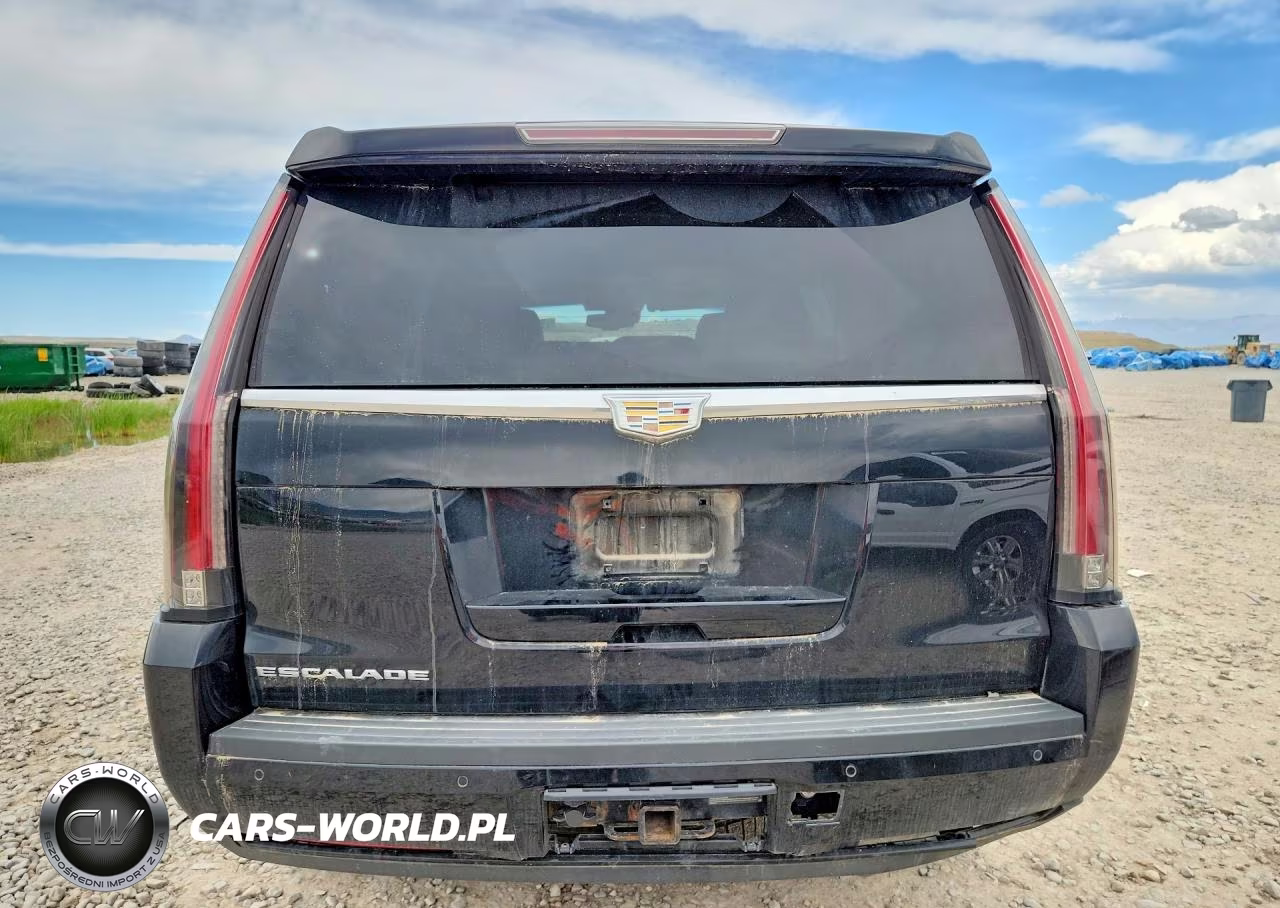 2015 Cadillac Escalade Premium VIN:1GYS4NKJ6FR630118 - 6