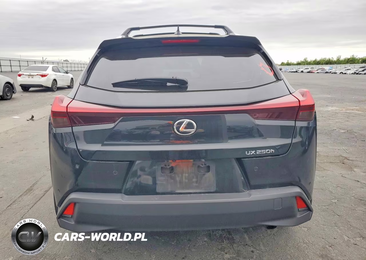2023 Lexus Ux 250H Base VIN:JTHX6JBH9P2156766 - 6