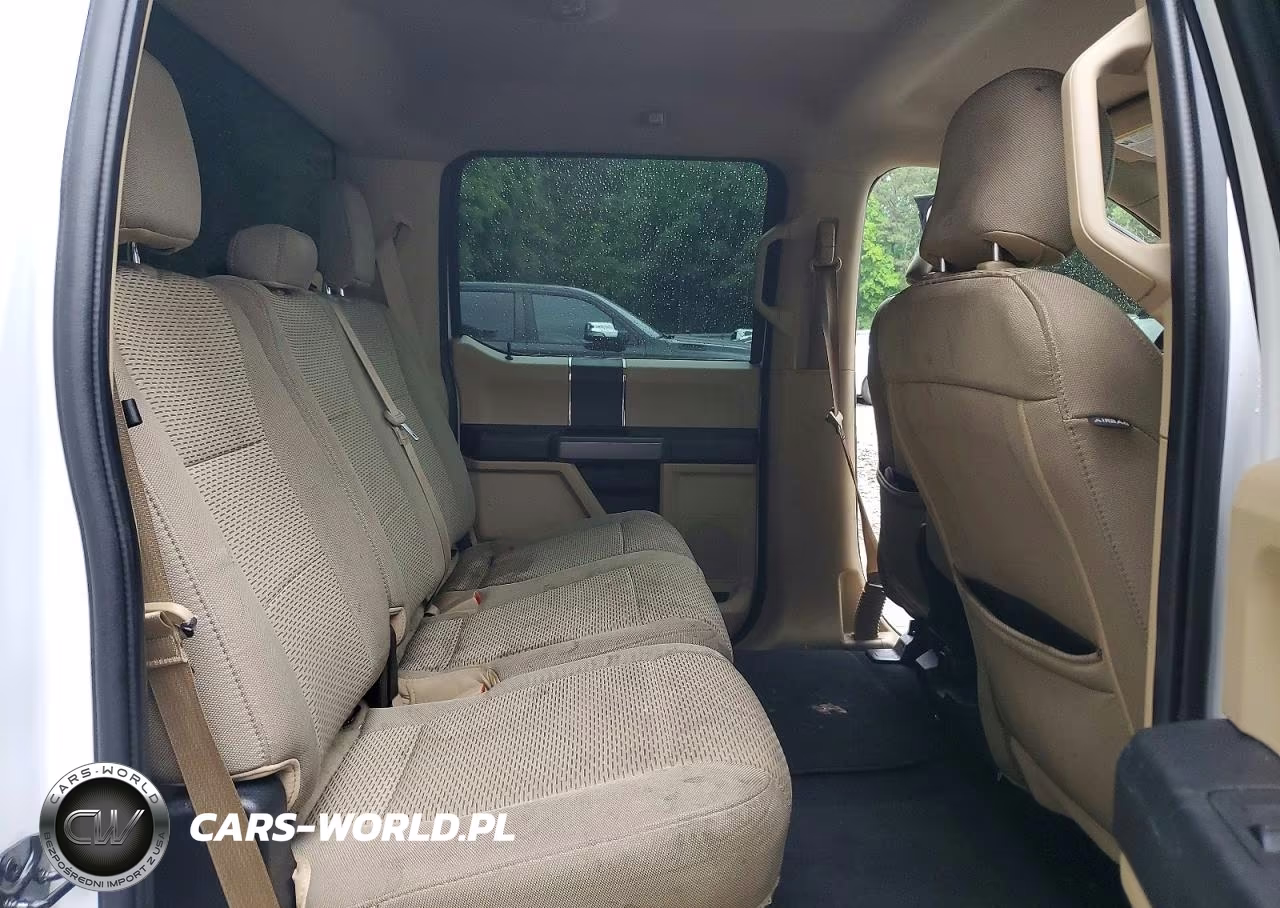 2019 Ford F150 Supercrew VIN:1FTEW1C51KKC90256 - 10