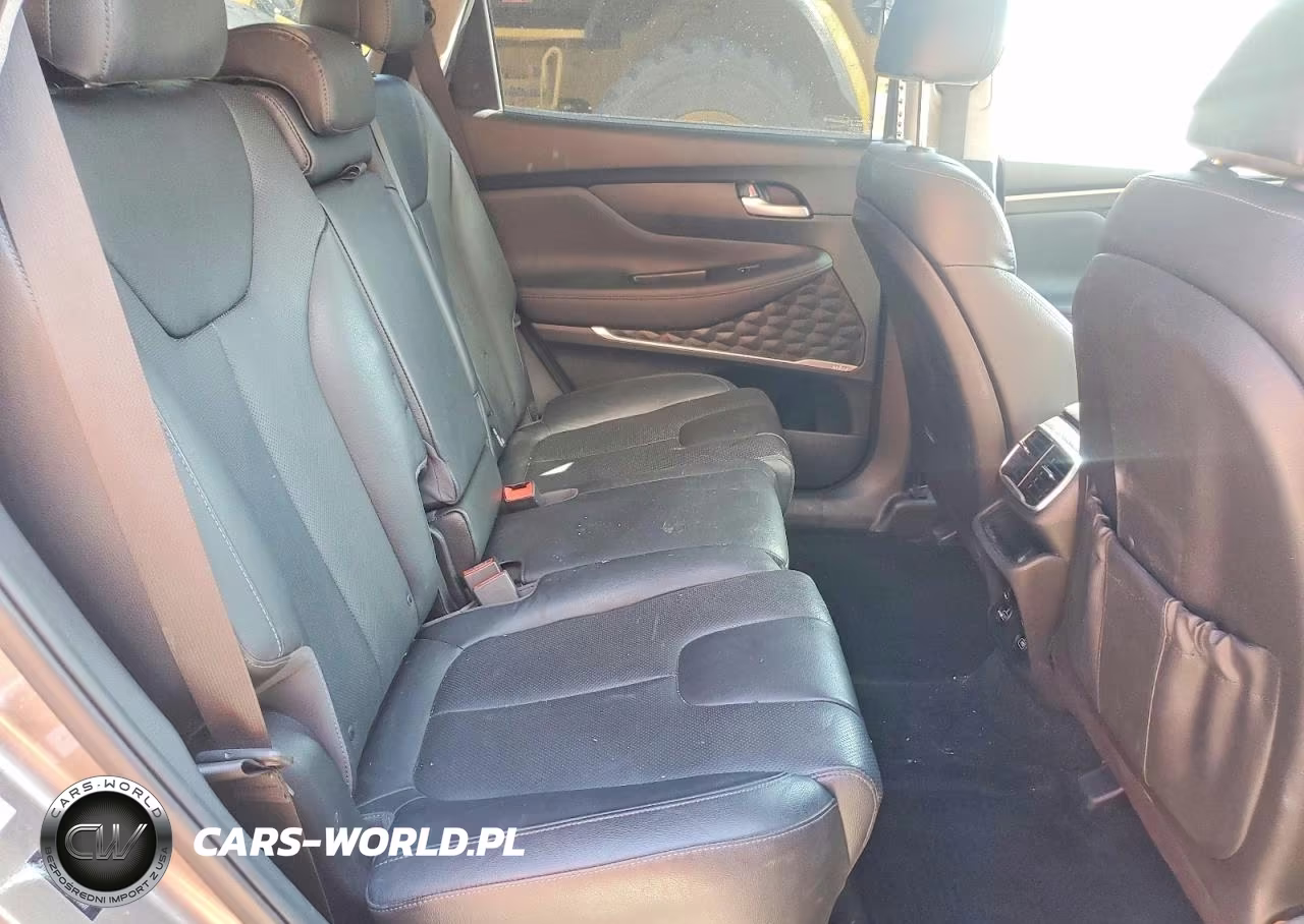 2019 Hyundai Santa Fe Limited 2.0T VIN:5NMS5CAA9KH104007 - 10