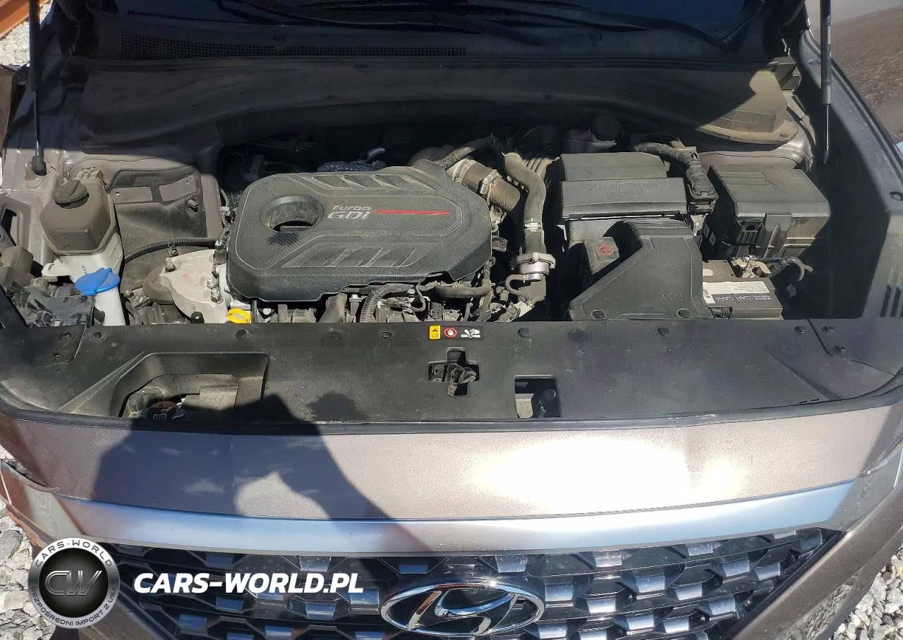 2019 Hyundai Santa Fe Limited 2.0T VIN:5NMS5CAA9KH104007 - 11