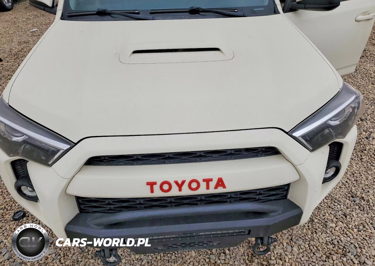 2019 Toyota 4Runner Trd Pro VIN:JTEBU5JR2K5711322 - 12
