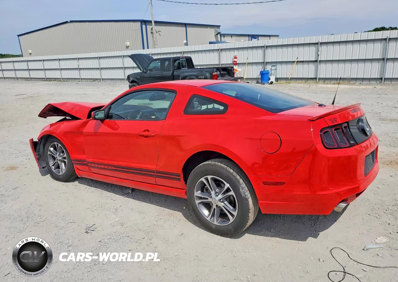 2014 Ford Mustang VIN:1ZVBP8AM2E5262582 - 2